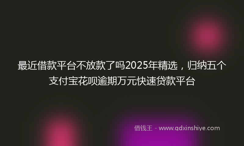 最近借款平台不放款了吗2025年精选，归纳五个支付宝花呗逾期万元快速贷款平台
