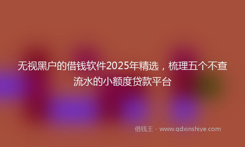 无视黑户的借钱软件2025年精选，梳理五个不查流水的小额度贷款平台