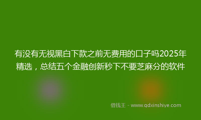 有没有无视黑白下款之前无费用的口子吗2025年精选，总结五个金融创新秒下不要芝麻分的软件