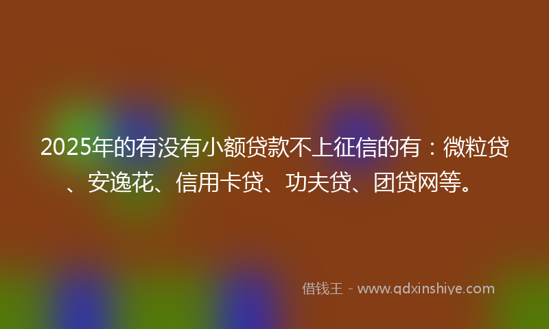 2025年的有没有小额贷款不上征信的有：微粒贷、安逸花、信用卡贷、功夫贷、团贷网等。