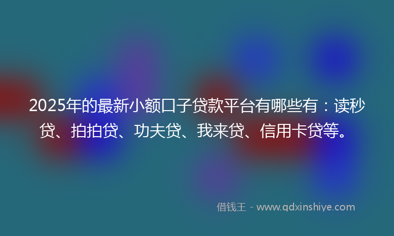 2025年的最新小额口子贷款平台有哪些有：读秒贷、拍拍贷、功夫贷、我来贷、信用卡贷等。