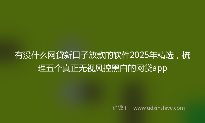 有没什么网贷新口子放款的软件2025年精选，梳理五个真正无视风控黑白的网贷app