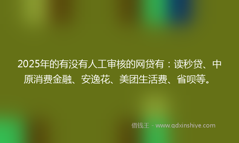 2025年的有没有人工审核的网贷有：读秒贷、中原消费金融、安逸花、美团生活费、省呗等。