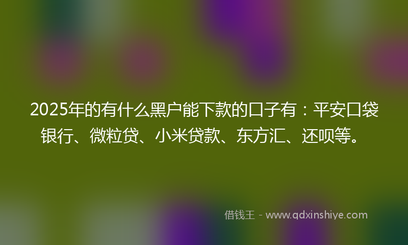 2025年的有什么黑户能下款的口子有：平安口袋银行、微粒贷、小米贷款、东方汇、还呗等。