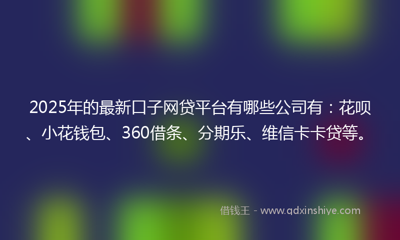 2025年的最新口子网贷平台有哪些公司有：花呗、小花钱包、360借条、分期乐、维信卡卡贷等。
