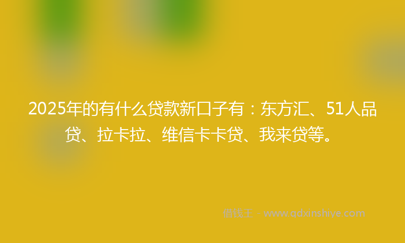 2025年的有什么贷款新口子有：东方汇、51人品贷、拉卡拉、维信卡卡贷、我来贷等。