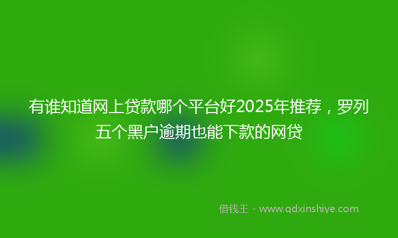 有谁知道网上贷款哪个平台好2025年推荐，罗列五个黑户逾期也能下款的网贷