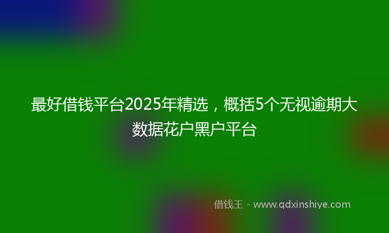 最好借钱平台2025年精选，概括5个无视逾期大数据花户黑户平台