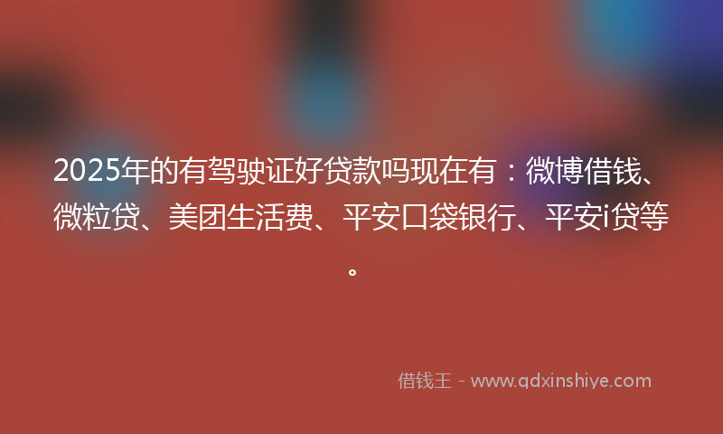 2025年的有驾驶证好贷款吗现在有：微博借钱、微粒贷、美团生活费、平安口袋银行、平安i贷等。