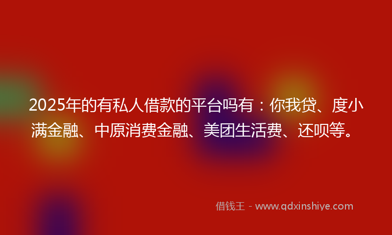 2025年的有私人借款的平台吗有：你我贷、度小满金融、中原消费金融、美团生活费、还呗等。