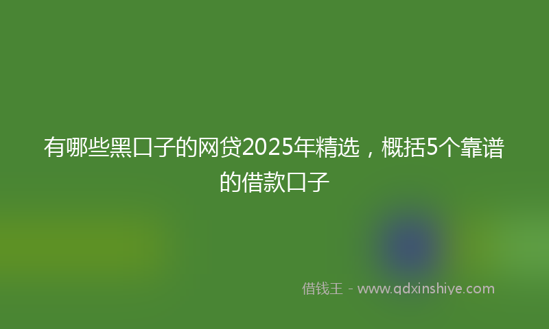 有哪些黑口子的网贷2025年精选，概括5个靠谱的借款口子