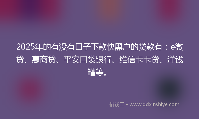 2025年的有没有口子下款快黑户的贷款有：e微贷、惠商贷、平安口袋银行、维信卡卡贷、洋钱罐等。