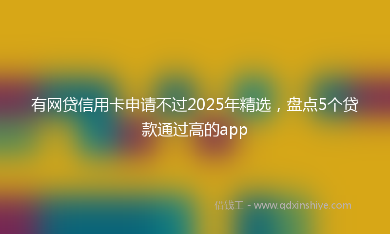 有网贷信用卡申请不过2025年精选，盘点5个贷款通过高的app
