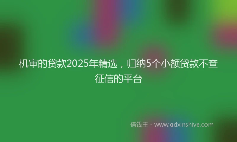机审的贷款2025年精选，归纳5个小额贷款不查征信的平台