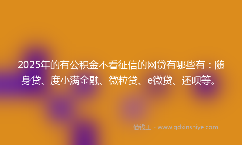 2025年的有公积金不看征信的网贷有哪些有：随身贷、度小满金融、微粒贷、e微贷、还呗等。