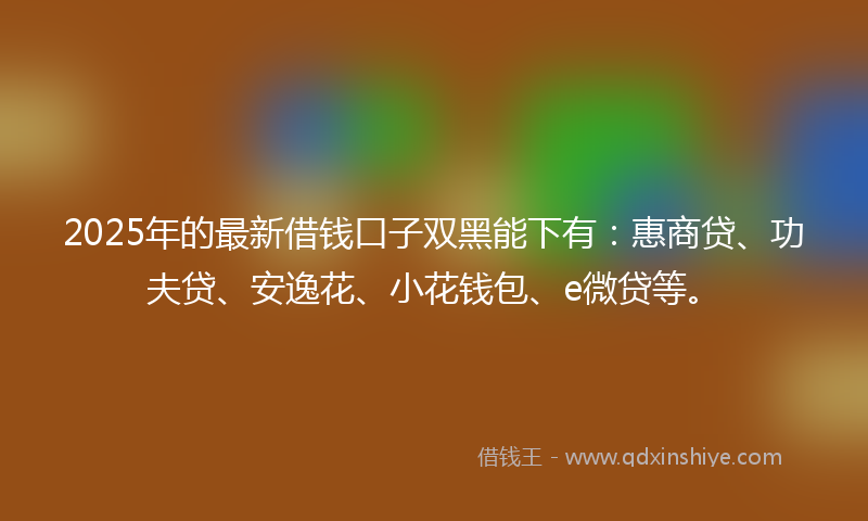 2025年的最新借钱口子双黑能下有：惠商贷、功夫贷、安逸花、小花钱包、e微贷等。