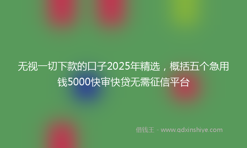 无视一切下款的口子2025年精选，概括五个急用钱5000快审快贷无需征信平台