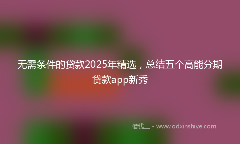 无需条件的贷款2025年精选，总结五个高能分期贷款app新秀