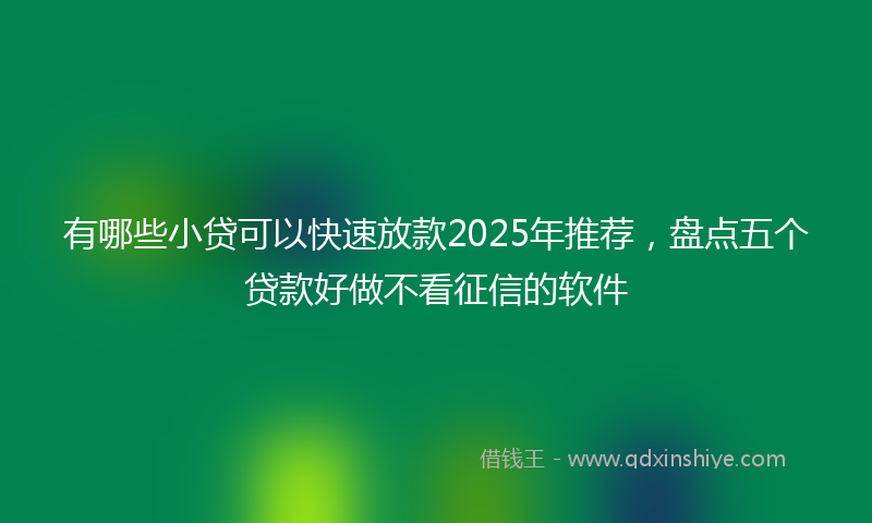 有哪些小贷可以快速放款2025年推荐，盘点五个贷款好做不看征信的软件