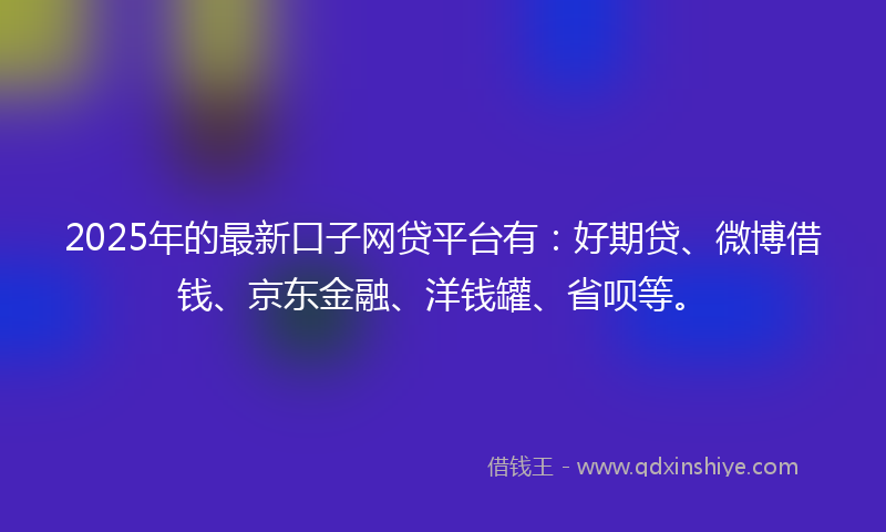 2025年的最新口子网贷平台有：好期贷、微博借钱、京东金融、洋钱罐、省呗等。