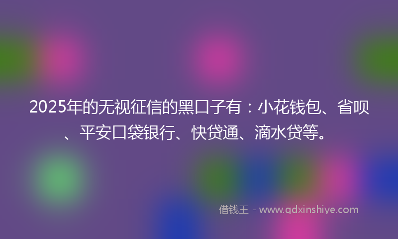 2025年的无视征信的黑口子有：小花钱包、省呗、平安口袋银行、快贷通、滴水贷等。