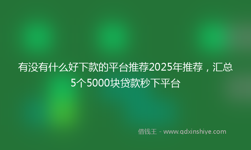 有没有什么好下款的平台推荐2025年推荐，汇总5个5000块贷款秒下平台