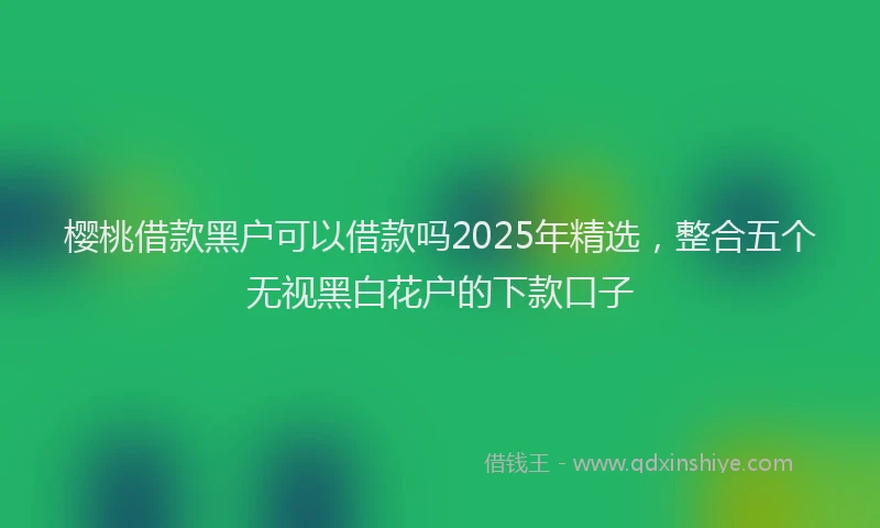 樱桃借款黑户可以借款吗2025年精选，整合五个无视黑白花户的下款口子