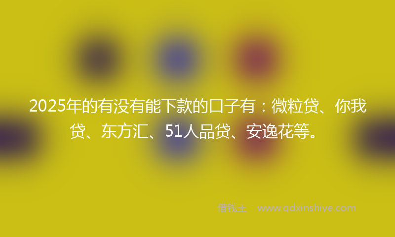 2025年的有没有能下款的口子有：微粒贷、你我贷、东方汇、51人品贷、安逸花等。