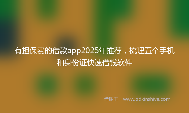 有担保费的借款app2025年推荐，梳理五个手机和身份证快速借钱软件