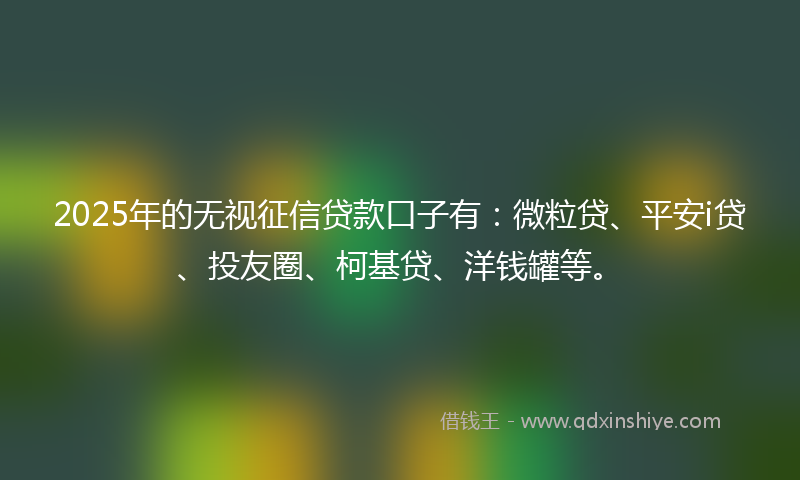 2025年的无视征信贷款口子有：微粒贷、平安i贷、投友圈、柯基贷、洋钱罐等。