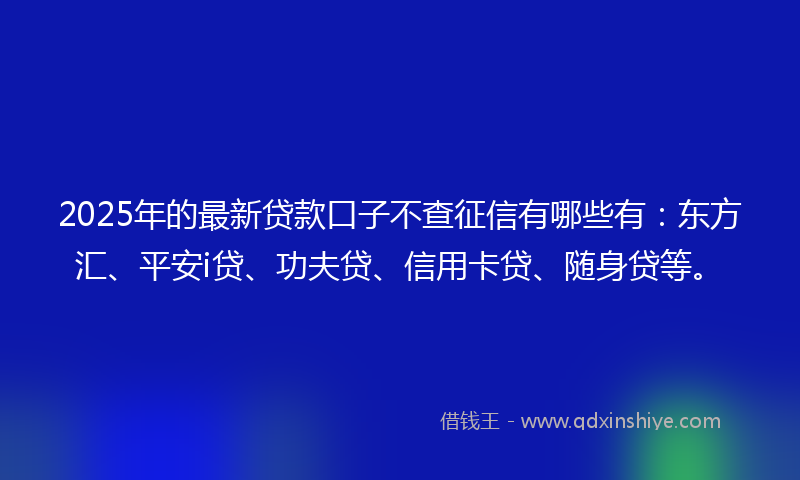 2025年的最新贷款口子不查征信有哪些有：东方汇、平安i贷、功夫贷、信用卡贷、随身贷等。