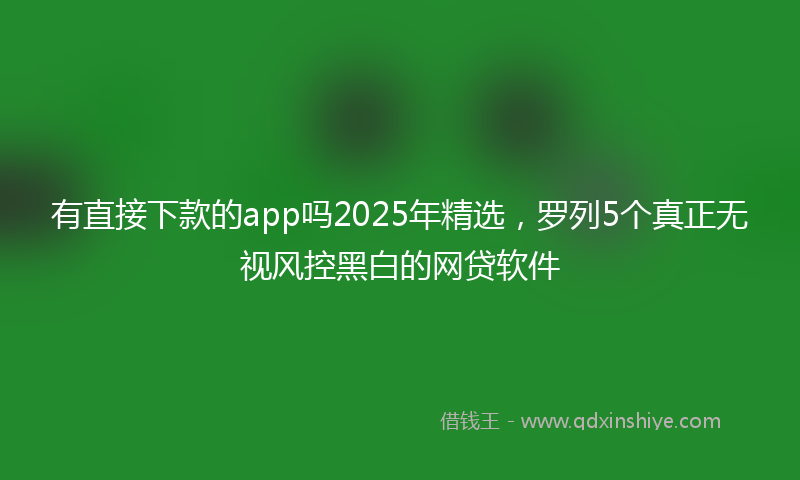 有直接下款的app吗2025年精选，罗列5个真正无视风控黑白的网贷软件