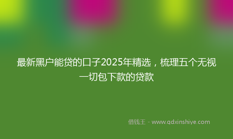 最新黑户能贷的口子2025年精选，梳理五个无视一切包下款的贷款