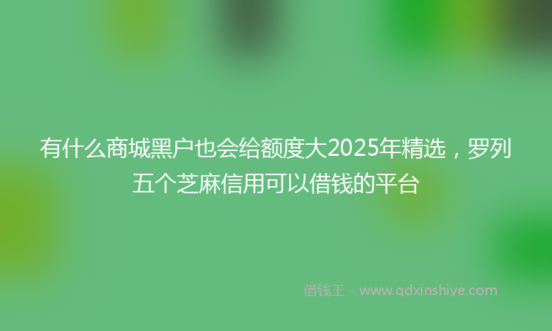 有什么商城黑户也会给额度大2025年精选，罗列五个芝麻信用可以借钱的平台
