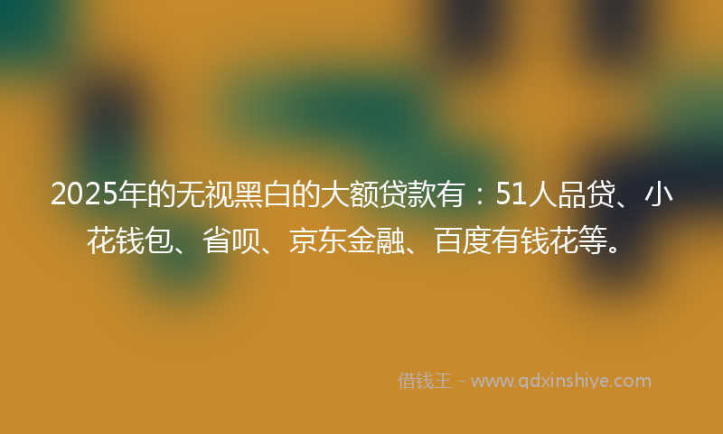 2025年的无视黑白的大额贷款有：51人品贷、小花钱包、省呗、京东金融、百度有钱花等。
