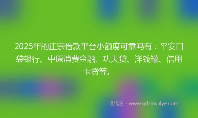 2025年的正宗借款平台小额度可靠吗有：平安口袋银行、中原消费金融、功夫贷、洋钱罐、信用卡贷等。