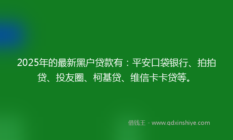 2025年的最新黑户贷款有：平安口袋银行、拍拍贷、投友圈、柯基贷、维信卡卡贷等。