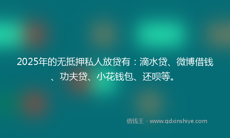 2025年的无抵押私人放贷有：滴水贷、微博借钱、功夫贷、小花钱包、还呗等。