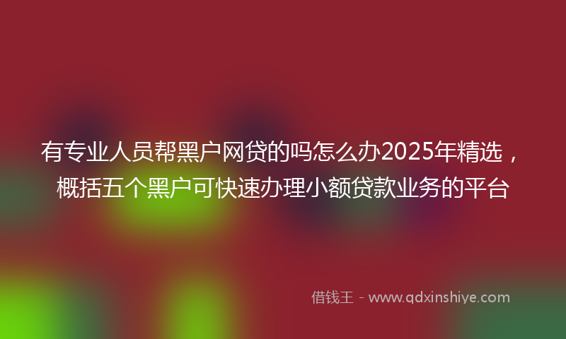 有专业人员帮黑户网贷的吗怎么办2025年精选，概括五个黑户可快速办理小额贷款业务的平台