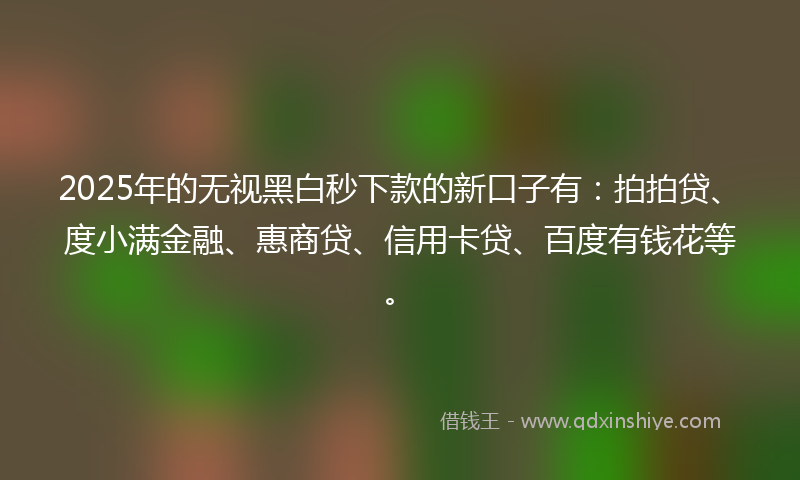 2025年的无视黑白秒下款的新口子有：拍拍贷、度小满金融、惠商贷、信用卡贷、百度有钱花等。