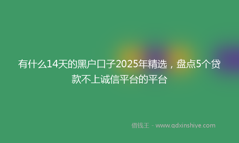 有什么14天的黑户口子2025年精选，盘点5个贷款不上诚信平台的平台