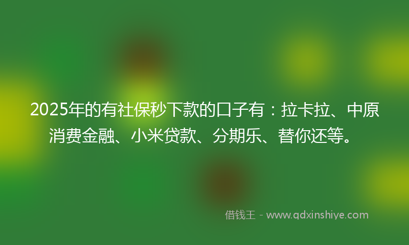 2025年的有社保秒下款的口子有：拉卡拉、中原消费金融、小米贷款、分期乐、替你还等。