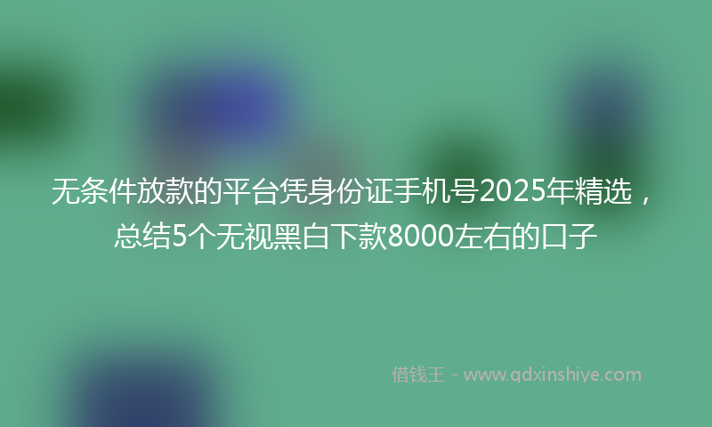 无条件放款的平台凭身份证手机号2025年精选，总结5个无视黑白下款8000左右的口子