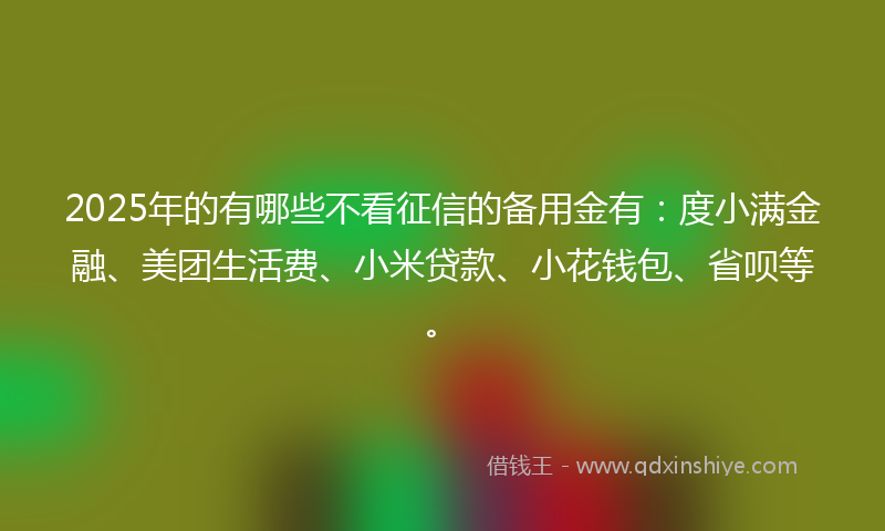 2025年的有哪些不看征信的备用金有：度小满金融、美团生活费、小米贷款、小花钱包、省呗等。