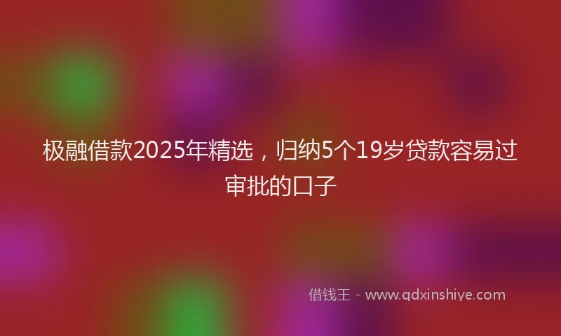 极融借款2025年精选，归纳5个19岁贷款容易过审批的口子