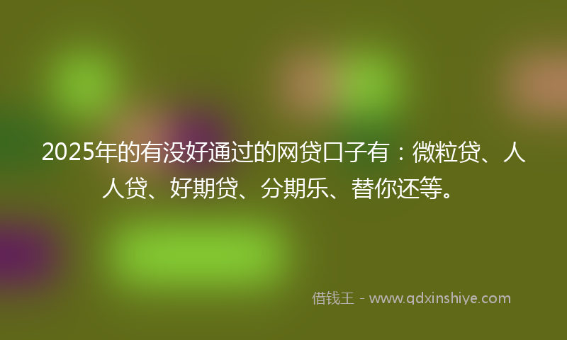 2025年的有没好通过的网贷口子有：微粒贷、人人贷、好期贷、分期乐、替你还等。