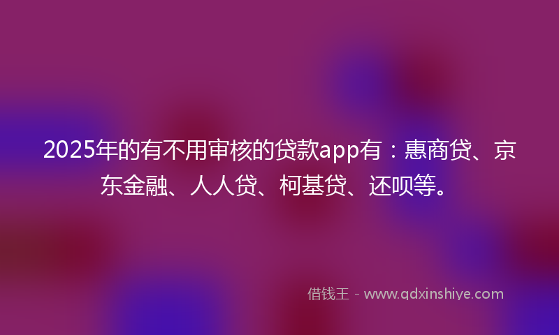 2025年的有不用审核的贷款app有：惠商贷、京东金融、人人贷、柯基贷、还呗等。