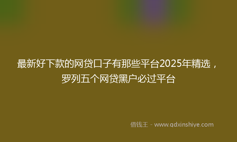 最新好下款的网贷口子有那些平台2025年精选，罗列五个网贷黑户必过平台