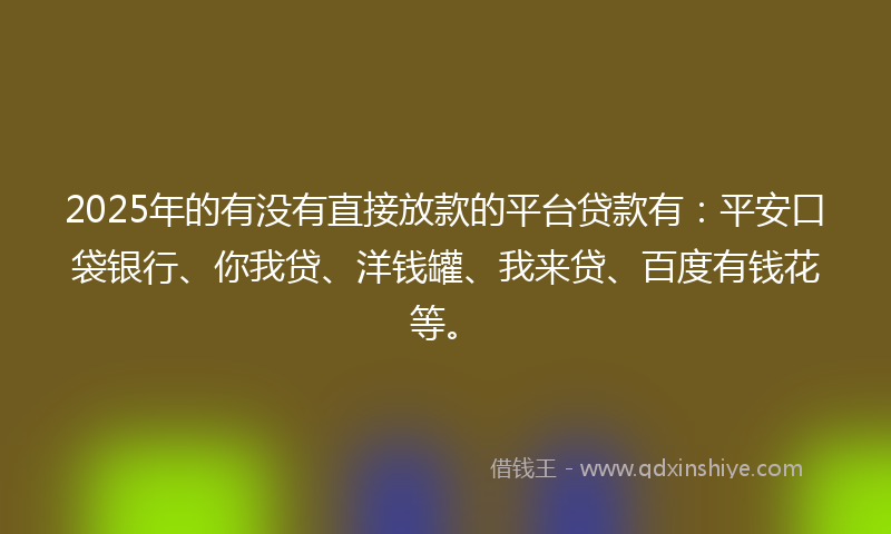 2025年的有没有直接放款的平台贷款有：平安口袋银行、你我贷、洋钱罐、我来贷、百度有钱花等。