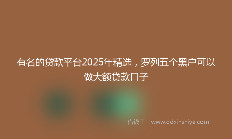 有名的贷款平台2025年精选，罗列五个黑户可以做大额贷款口子